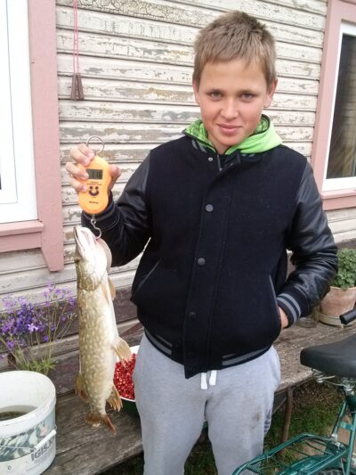 Northern Pike, 1.1 kg — Svėdasas