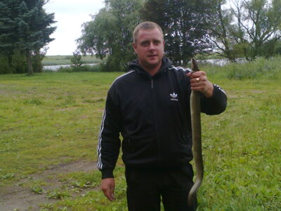 European eel, 1.2 kg — Krokialaukio