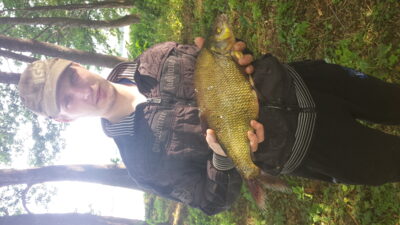 Carp bream, 1.4 kg — Vilkokšnis