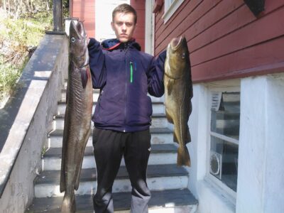 Common ling, 9.5 kg