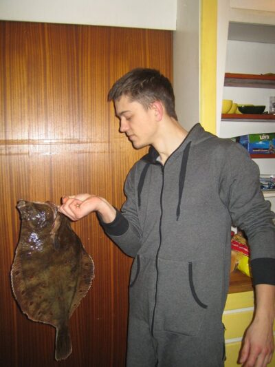 European plaice, 2.1 kg
