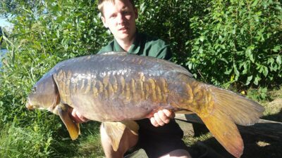 Carp — Ilgis