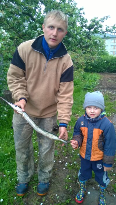 Garfish — Baltic Sea