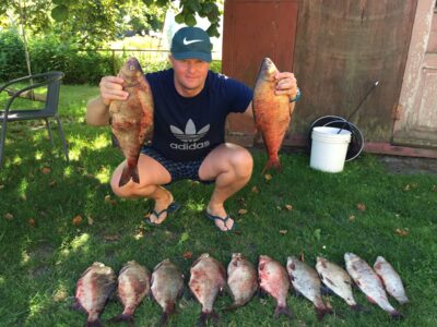 Carp bream ×12 — Neman River