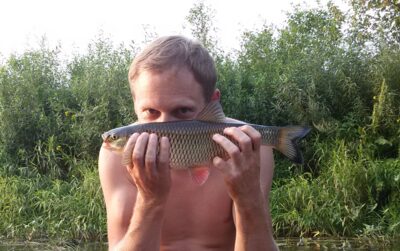 chub — Širvinta