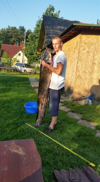 Wels catfish, 25.0 kg — Neman River