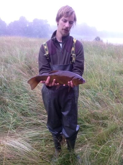 Tench, 1.5 kg