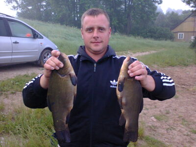 Tench, 3.0 kg — Kavalys