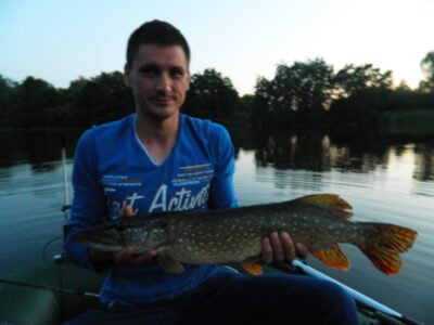 Northern Pike