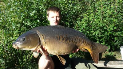 Carp, 16.1 kg — Ilgis
