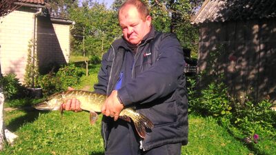 Northern Pike, 2.0 kg — Vadakstis