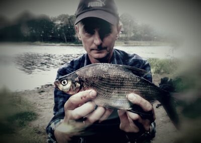 Carp bream ×6 — Karvys