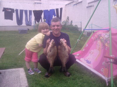 Carp bream, 1.9 kg
