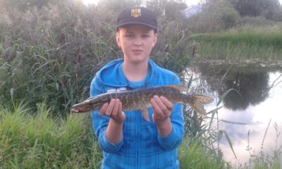 Northern Pike ×4 — Venta