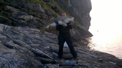 Atlantic cod, 15.4 kg