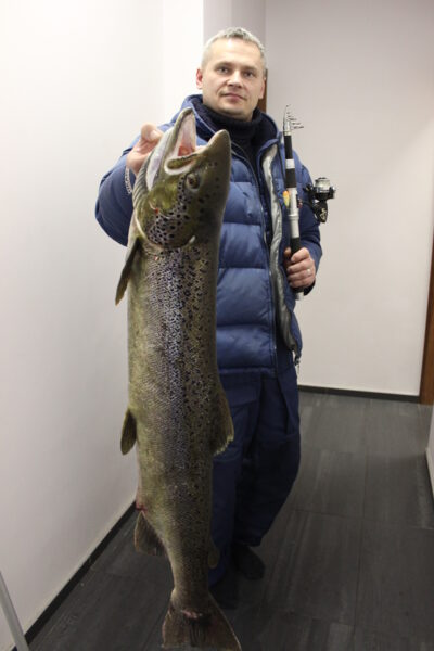 Atlantic salmon, 6.7 kg — Neris River