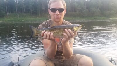 chub — Neris River