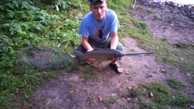 Grass carp, 3.7 kg — Lynelis