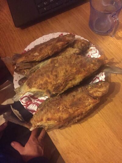 Carp bream ×15 — Apšlavas