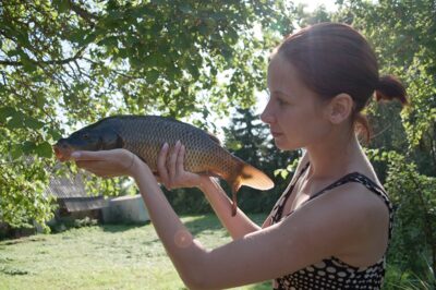 Carp, 2.0 kg
