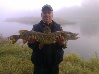 Northern Pike — Šventoji