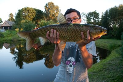 Grass carp, 4.1 kg