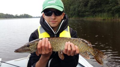 Northern Pike, 1.4 kg