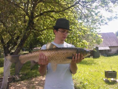 Grass carp, 6.5 kg