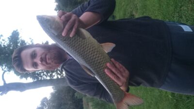 Grass carp, 2.9 kg