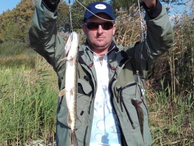 Northern Pike, 0.8 kg — Bublių