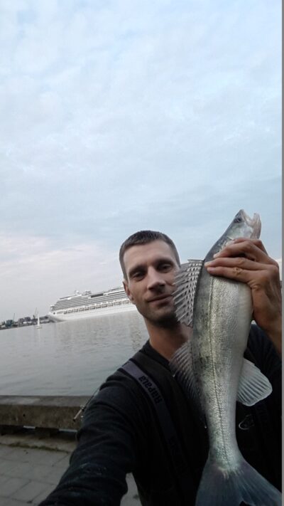 Pike perch, 1.3 kg