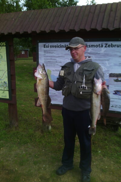 Pike perch, 3.8 kg — Zebrus ezers