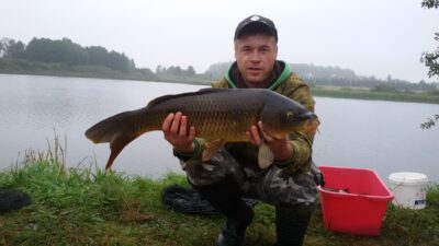 Carp, 4.2 kg — Krivilių
