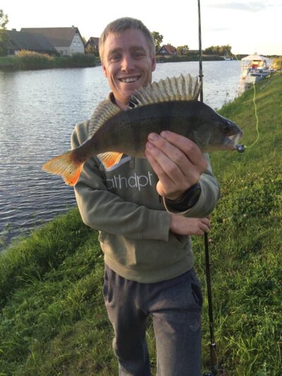 Eurasian perch, 0.7 kg — Minija