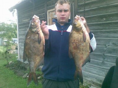 Carp bream, 3.6 kg — Rašai