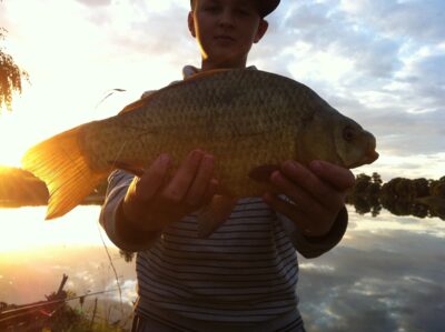 Crucian carp, 1.0 kg — Pakumulšių I-asis