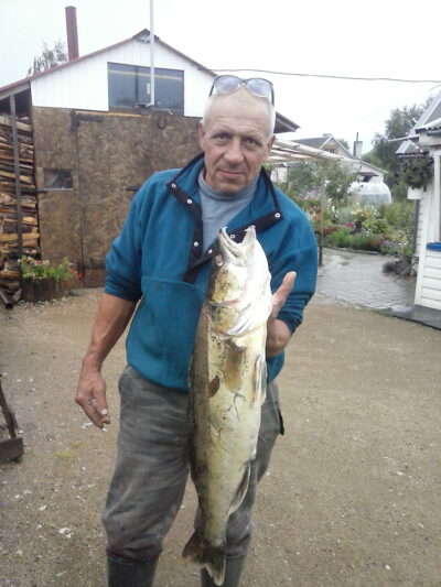 Pike perch