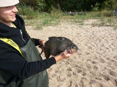Carp bream, 2.8 kg — Kaunas reservoir