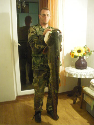 Wels catfish, 13.1 kg — Skirvytė