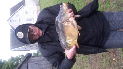 Carp, 4.5 kg — Angininkų