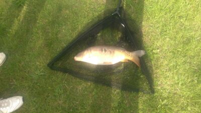 Carp, 4.5 kg — River Dee