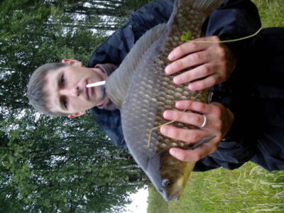 Prussian carp, 2.0 kg
