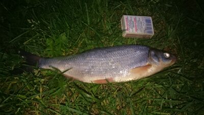 Zarte, 0.3 kg — Kuršių