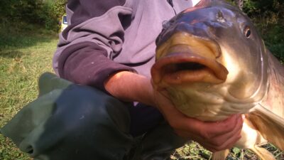 Carp, 9.0 kg