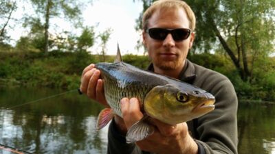 chub — Šventoji