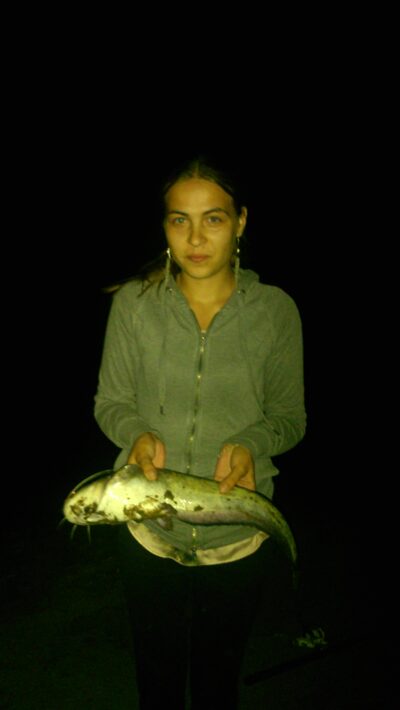 Wels catfish, 1.5 kg — Neman River