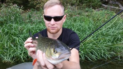 chub — Neris River