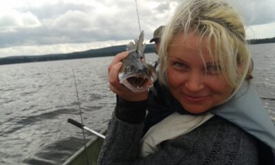 Pike perch