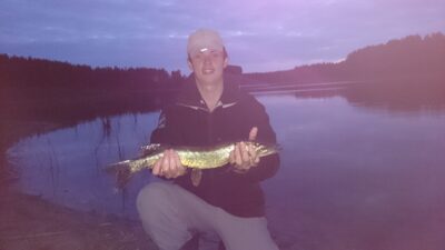 Northern Pike, 0.8 kg — Šalnaitis