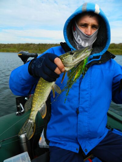 Northern Pike